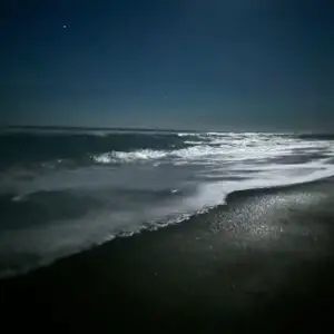 Night-Sky Myrtle Beach